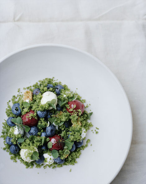 Blaubeeren-Variationen mit Tannennadeln